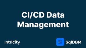 CICD Data Management SQL DBM