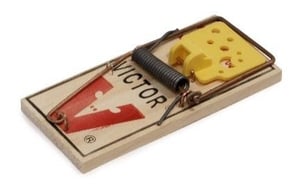 https://upload.wikimedia.org/wikipedia/commons/c/c6/Victor-Mousetrap.jpg
