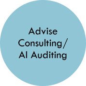 advise consulting ai auditing