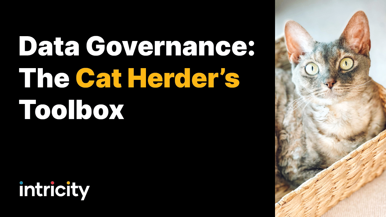 Data Governance: The Cat Herders Toolbox