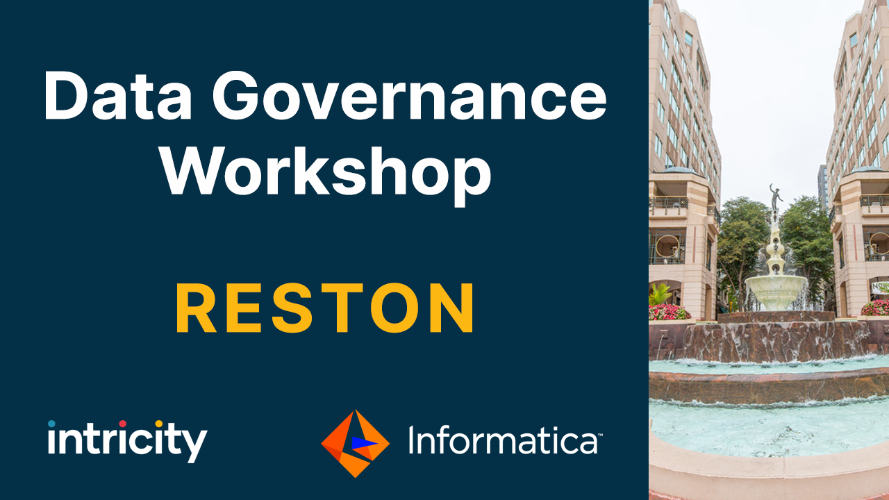 Data Governance Workshop- VA