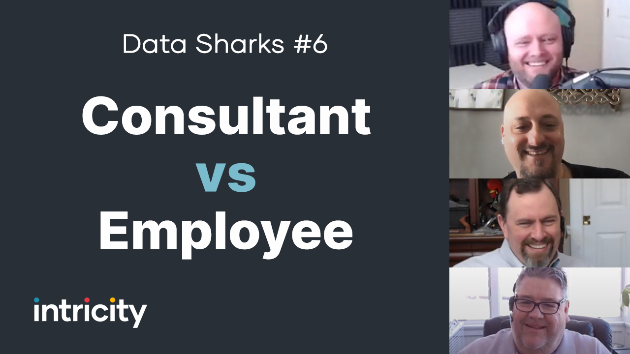 Data Sharks #6: Consultant vs Employee