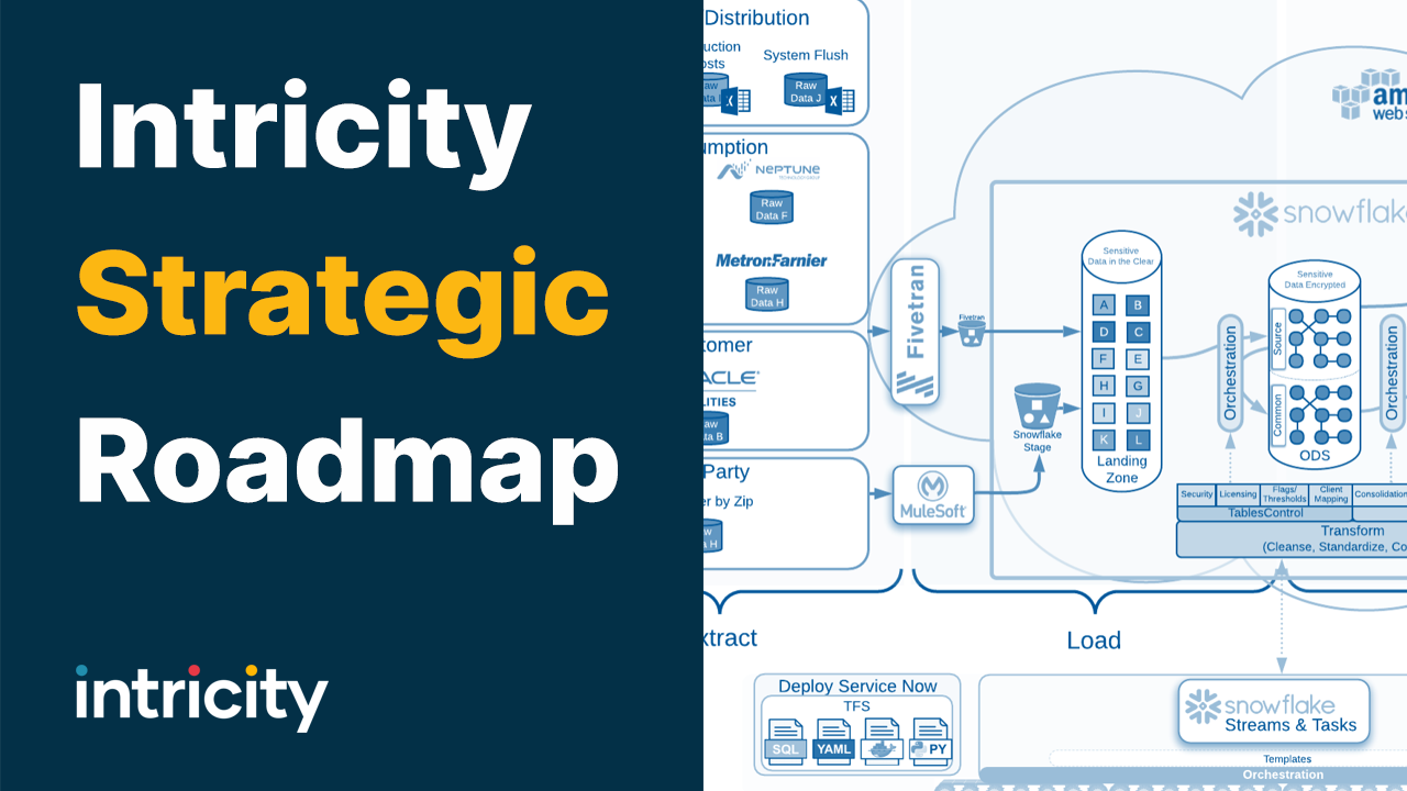 Intricity Strategic Roadmap