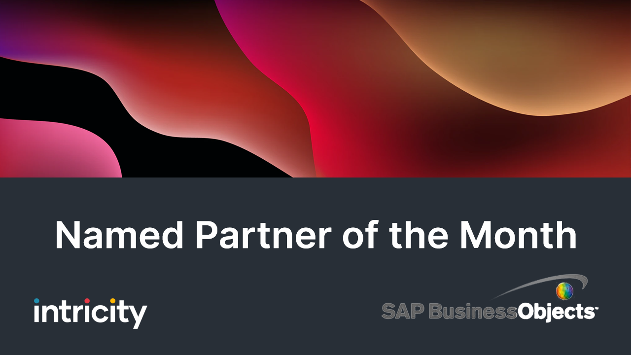 Intricity Named SAP BusinessObjects Partner of the Month