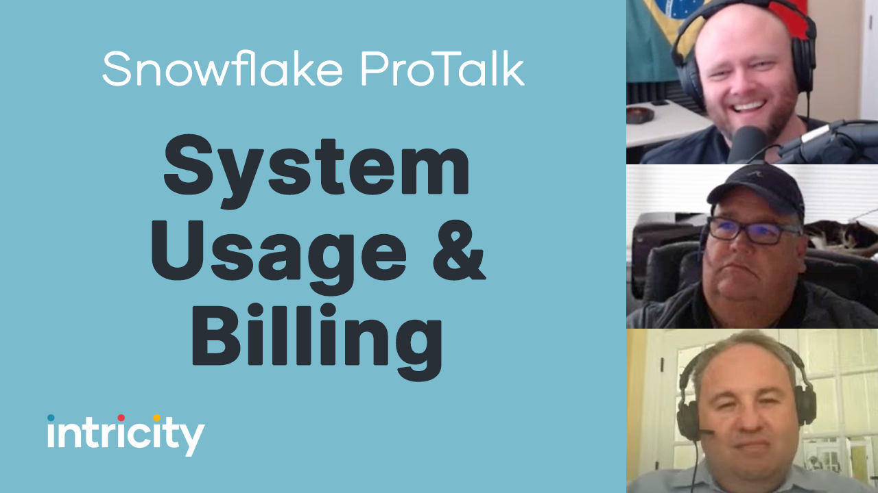 Snowflake ProTalk: System Usage & Billing
